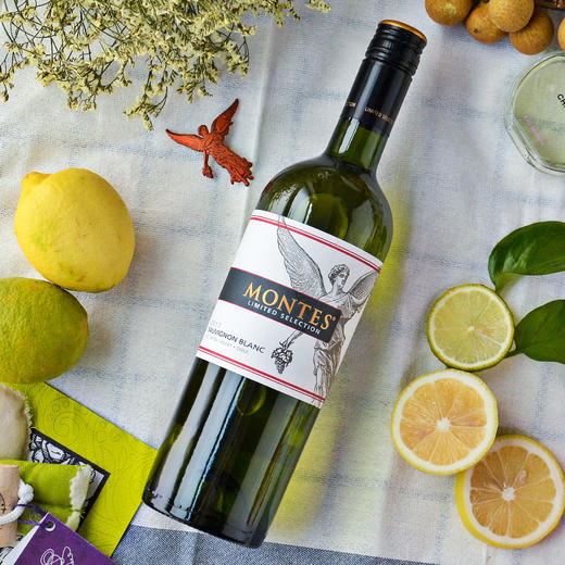 【清爽组合】蒙特斯限量精选长相思+探索者霞多丽（各3瓶） 商品图2