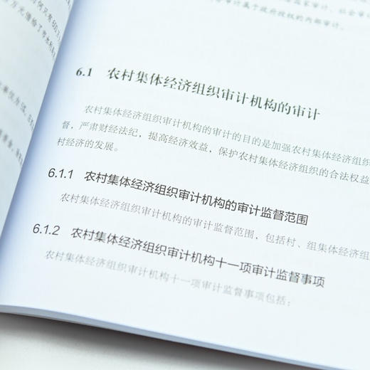 企业内部审计全流程实战从入门到实践 屠建清 著  内审企业管理审计流程审计准则 控制财务会计企业经营 商品图2