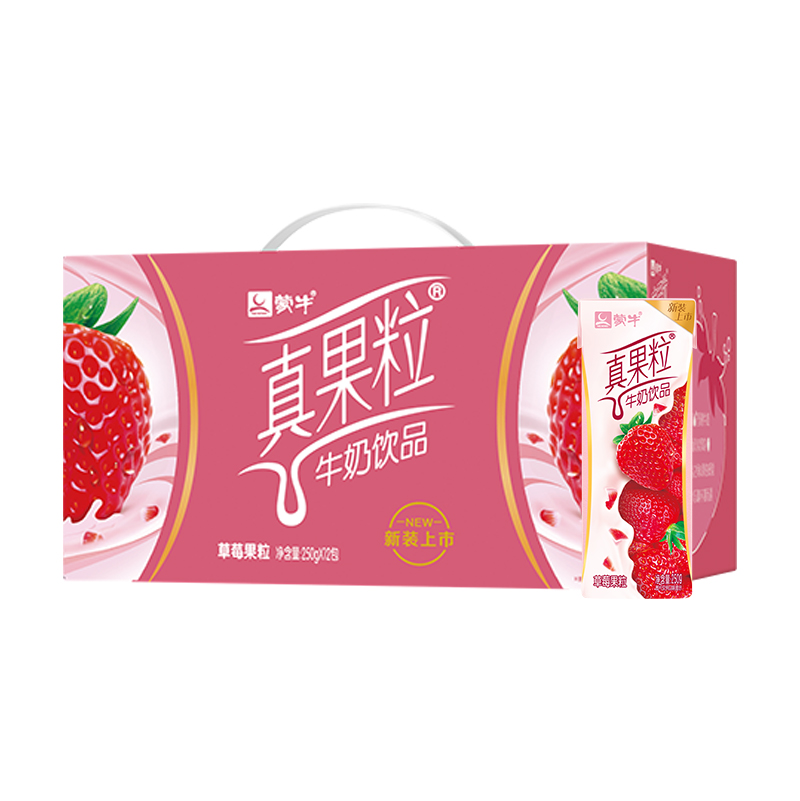 T真果粒草莓果粒250g×12盒