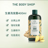 TheBodyShop美体小铺生姜洗发水400ml 商品缩略图6
