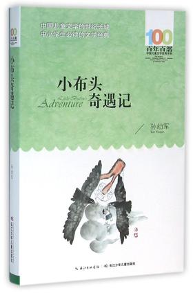 小布头奇遇记/百年百部中国儿童文学经典书系