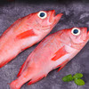 野生红石斑鱼 500-600g /袋 （原料产地： 挪威) 商品缩略图1