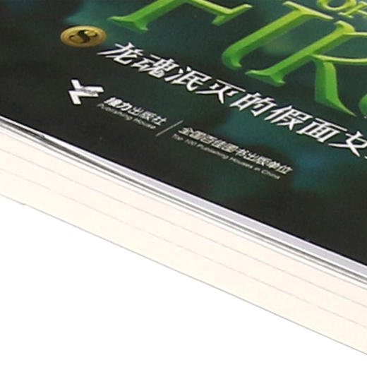 龙魂泯灭的假面女王/火翼飞龙 商品图2