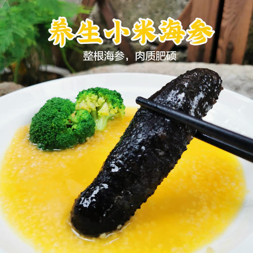 养生小米海参 220g 商品图1
