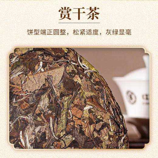 2021中茶蝴蝶21608茶香丝路白牡丹老树白茶饼357g 商品图2