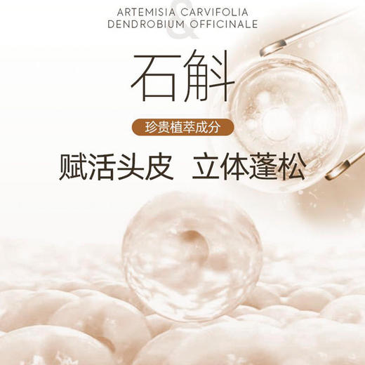 【第2瓶半价】MVO青蒿石斛丰盈洗发水你身边的除螨去油好帮手99.8%除螨率石斛专利去屑止痒清新香味 商品图2