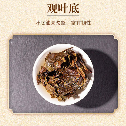 2021中茶蝴蝶21608茶香丝路白牡丹老树白茶饼357g 商品图4