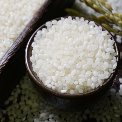 老娘舅香稻米10kg（编包紫袋） YY 商品图2