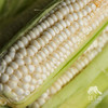 生态玉米 | 合作生产* Ecological Corn | Coproduction 商品缩略图5