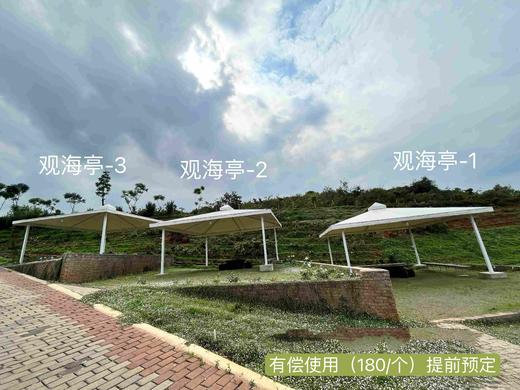 “南国山花”赏花亭（园区内使用，需下单赏花券之后才可下单） 商品图1