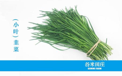 小叶韭菜套装 商品图0