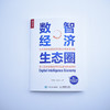 数智经济生态圈 丁荣余 等著 数字经济数字化转型工业互联网组织发展数智经济的本质演进过程发展战略及实践案例书籍 商品缩略图1