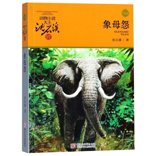 象母怨(升级版)/动物小说大王沈石溪品藏书系 商品图0