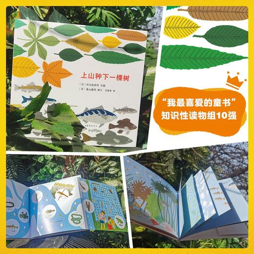 上山种下一棵树 商品图2