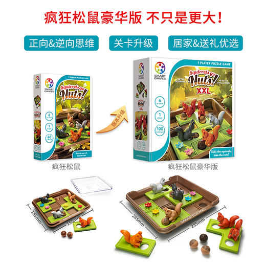 T SmartGame  SG 425 XXL    Squirrels GO Nuts XXL       疯狂松鼠XXL （豪华系列） 商品图2