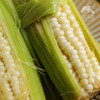 生态玉米 | 合作生产* Ecological Corn | Coproduction 商品缩略图9