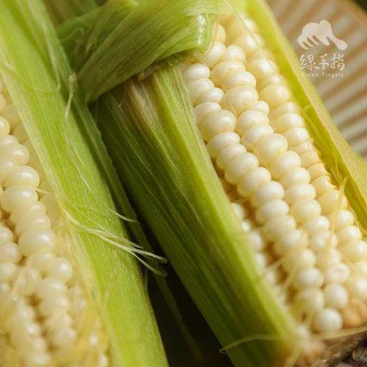 生态玉米 | 合作生产* Ecological Corn | Coproduction 商品图9
