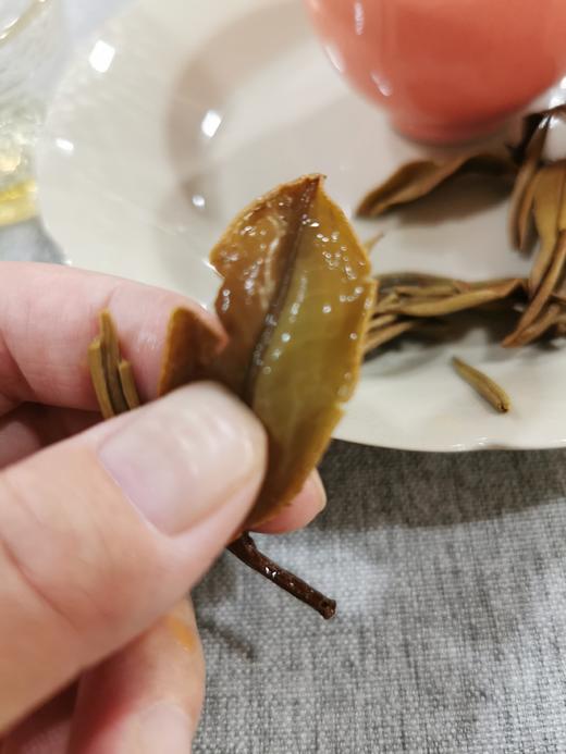 月光白散茶 早春 350克/400克箱 花香好 商品图5