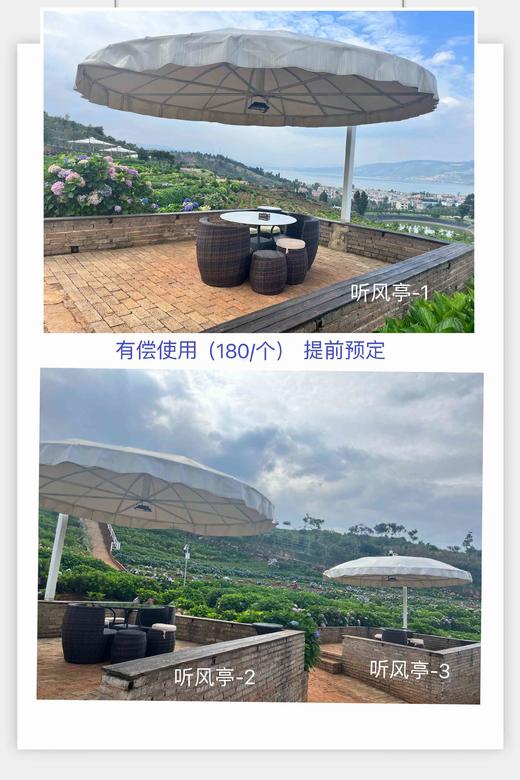 “南国山花”赏花亭（园区内使用，需下单赏花券之后才可下单） 商品图2