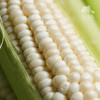 生态玉米 | 合作生产* Ecological Corn | Coproduction 商品缩略图7