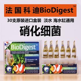 法国科迪硝化细菌