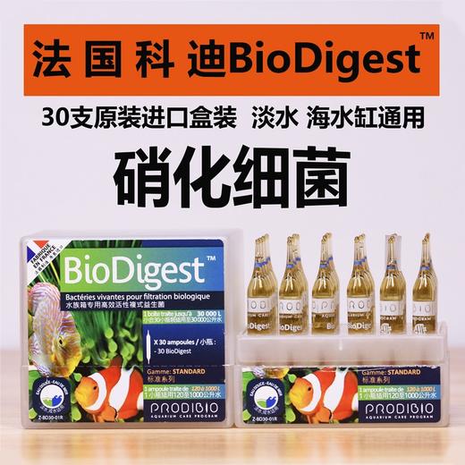 法国科迪硝化细菌 商品图0