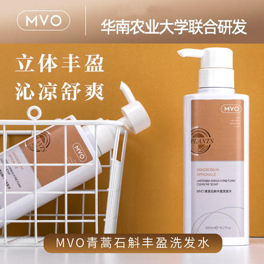 【第2瓶半价】MVO青蒿石斛丰盈洗发水你身边的除螨去油好帮手99.8%除螨率石斛专利去屑止痒清新香味 商品图0