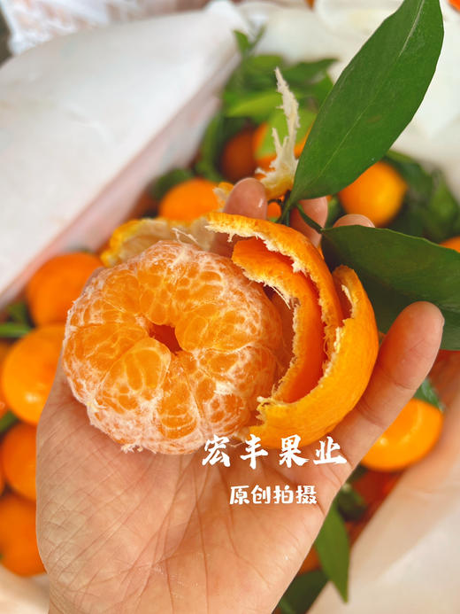 【宏丰精选 】沃柑  肉质脆嫩 水分足 活动价4.8元一斤 商品图3