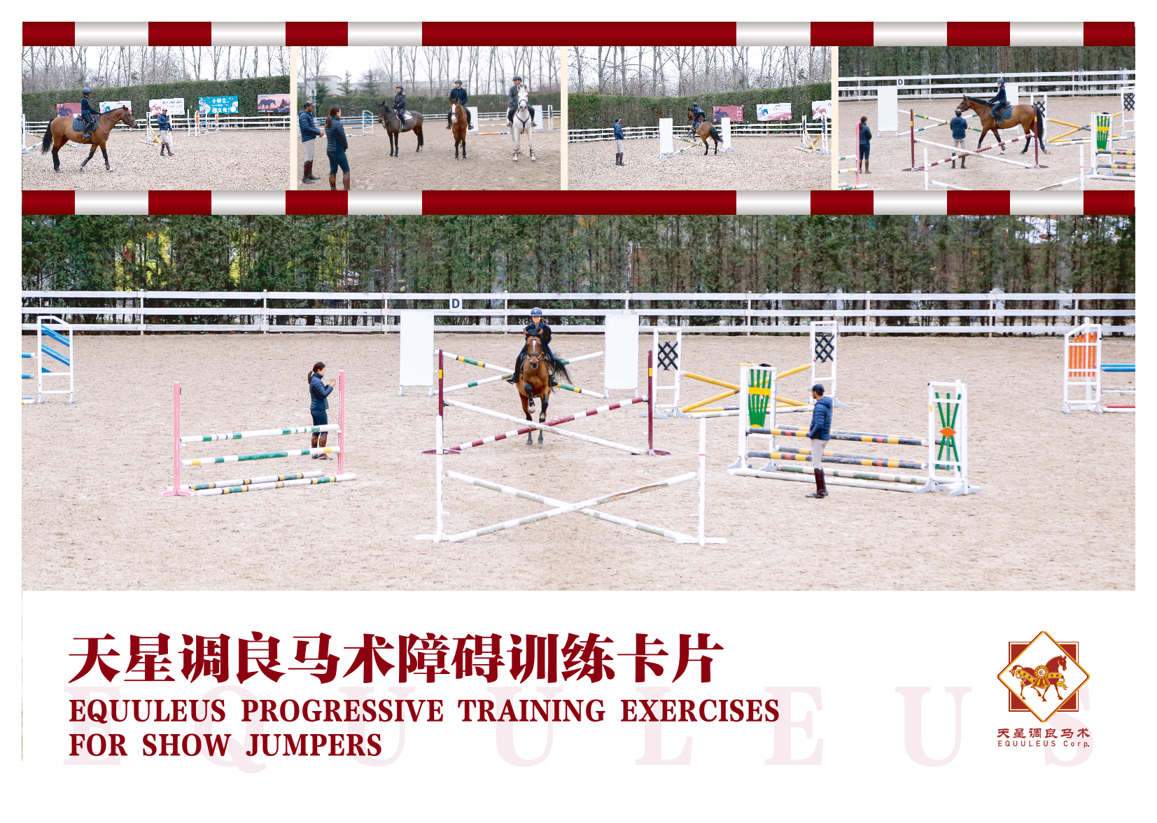 天星调良马术障碍训练卡片