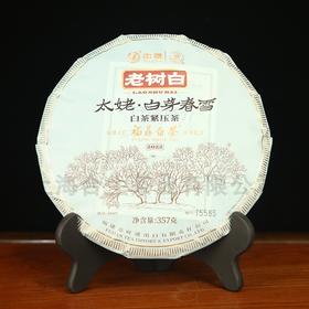 中茶蝴蝶5609白芽春雪老树白茶白茶饼357g（福鼎工厂开工版）