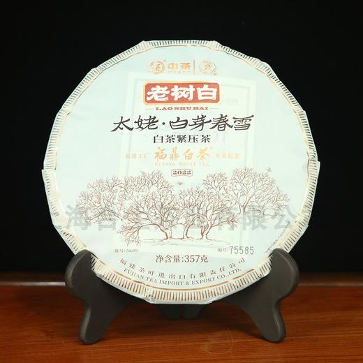 中茶蝴蝶5609白芽春雪老树白茶白茶饼357g（福鼎工厂开工版） 商品图0