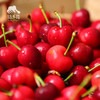 生态四川小金樱桃 |合作生产* Ecological  cherry ｜Coproducted 商品缩略图3