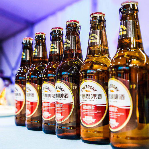 千岛湖易拉盖精酿原浆啤酒12瓶装 商品图1