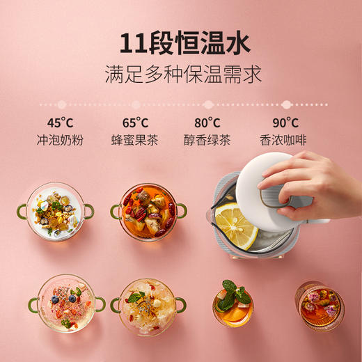 邻鹿养生壶迷你型家用多功能2021新款烧水壶办公室mini小型煮茶器 商品图1