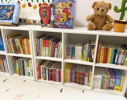 【6宫格，8宫格，10宫格可选】丹妈独家定制实木书柜 商品图2