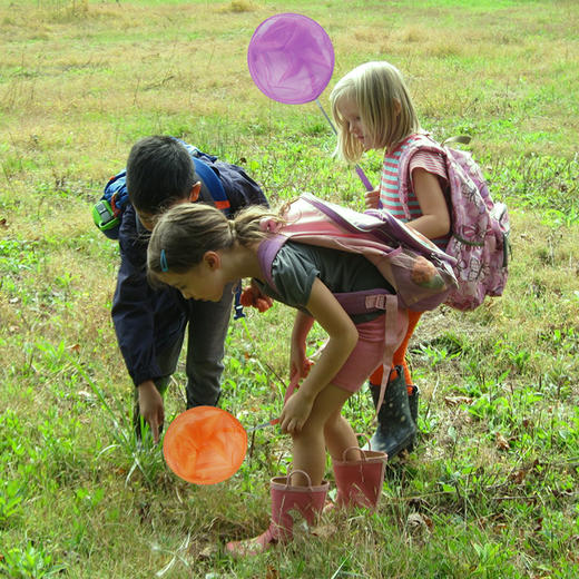 悠莱弗户外伸缩抄网
（5个）TS3505 商品图5