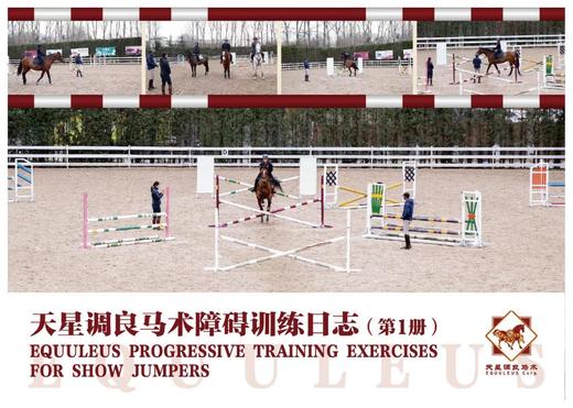 天星调良马术障碍训练日志与卡片 商品图0