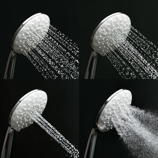 A.O.史密斯花洒套装（豪华型） FS-53A 商品图2