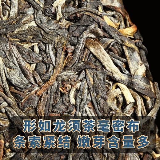 2022新茶春茶贺开古树茶龙须贡饼普洱茶生茶饼云南七子饼357g 商品图3