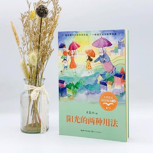 阳光的两种用法(6下)/小学语文同步阅读书系 商品图4