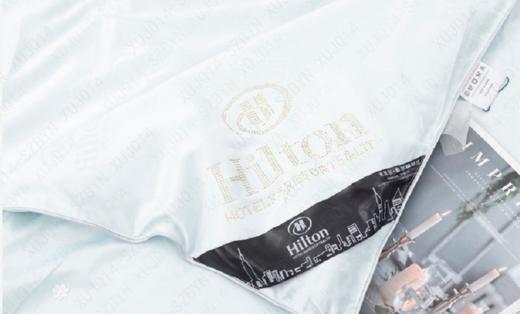 希尔顿蚕丝被 商品图2