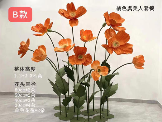 虞美人套餐（运费自理） 商品图1