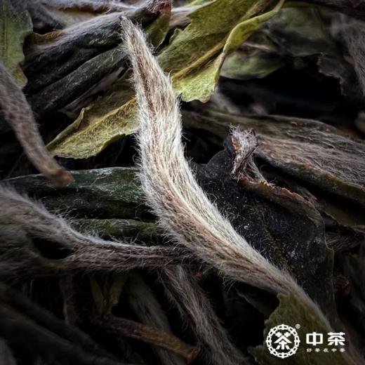 【秒杀】2022中茶茶香诗韵白牡丹230g白茶 商品图3