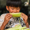 生态玉米 | 合作生产* Ecological Corn | Coproduction 商品缩略图8