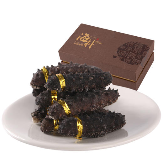 AG海朴藏珑干海参100g（发制率12-15倍） 商品图0