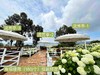“南国山花”赏花亭（园区内使用，需下单赏花券之后才可下单） 商品缩略图0