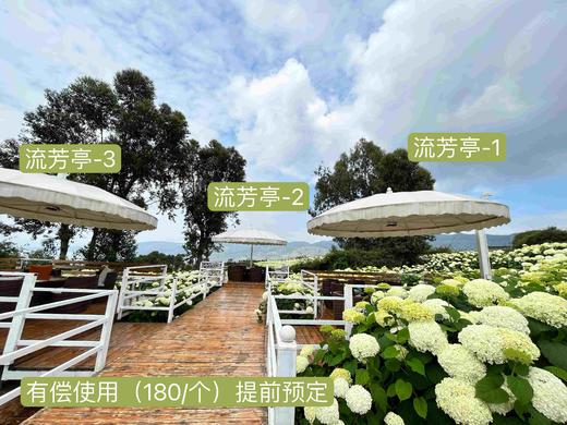 “南国山花”赏花亭（园区内使用，需下单赏花券之后才可下单） 商品图0