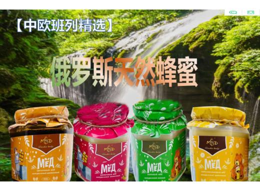 【中欧班列精选】俄罗斯精品蜂蜜  原装进口俄蜜源滨海森林野生葵花蜜 荞麦蜜 椴树蜜 百花蜜500g 商品图0