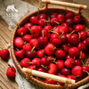 生态四川小金樱桃 |合作生产* Ecological  cherry ｜Coproducted 商品缩略图2