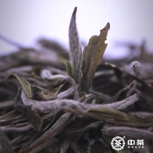 【秒杀】2022中茶茶香诗韵白牡丹230g白茶 商品图2